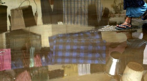 Image 458596935