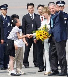 Image 458624515