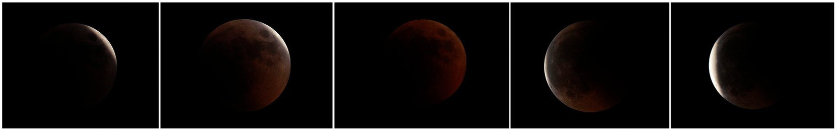 Image 458656052
