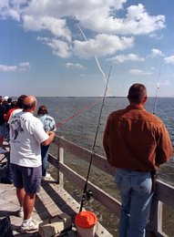 Image 458805140