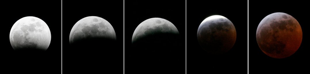 Image 458841908