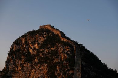 Image 458883557