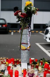Image 458909488