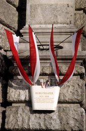 Image 459154514
