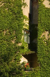 Image 459358279