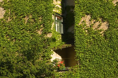 Image 459358290