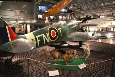 Image 459564944