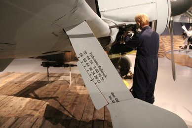 Image 459565011
