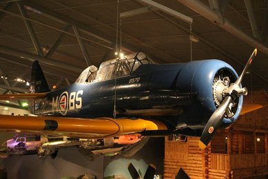 Image 459565017