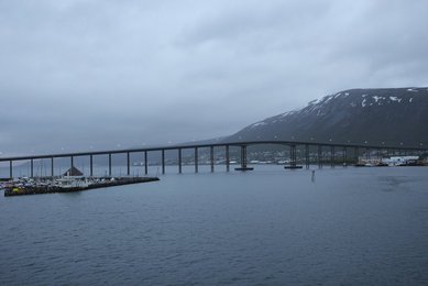 Image 459572513