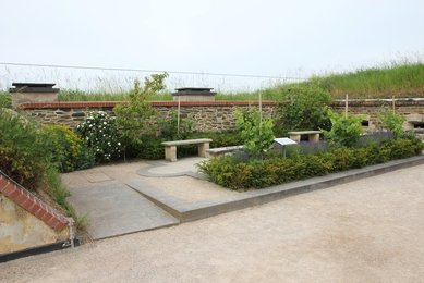 Image 459572770