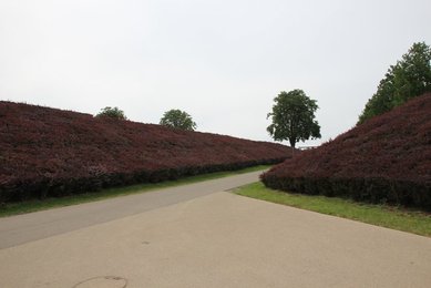 Image 459572776