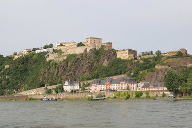 Image 459578281