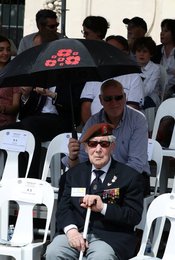 Image 459983385