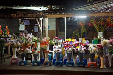 Image 460584233