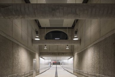 Image 460614238