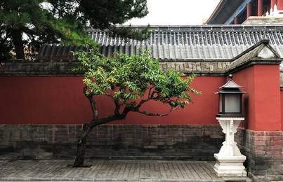 Image 461432171