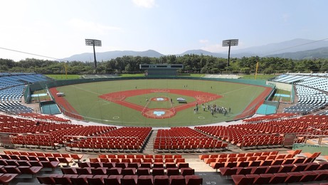 Image 462198744