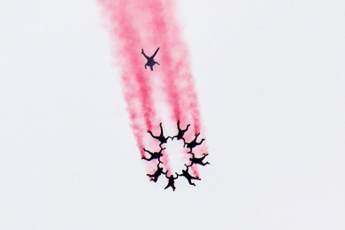 Image 462226049