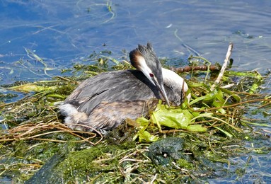 Image 463361819