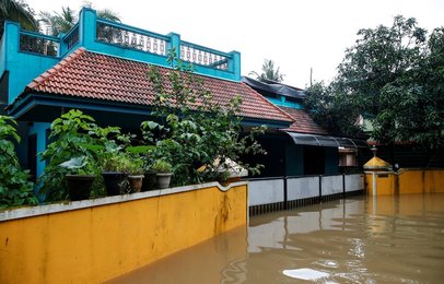 Image 463633996