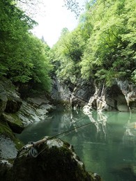 Image 463745451