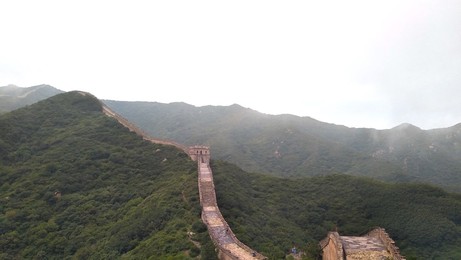 Image 464812119