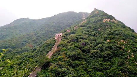 Image 464812127
