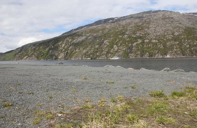 Image 466938079