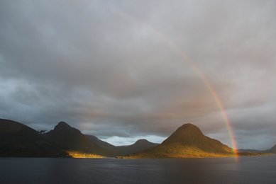 Image 466949349