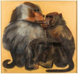 Image 467320998