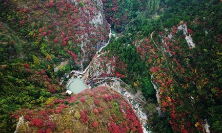 Image 467579608
