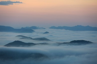Image 467937479