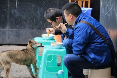 Image 468904966