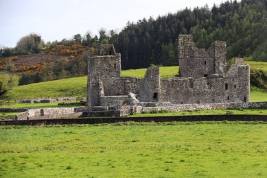 Image 470161717