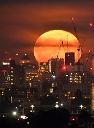 Image 470941593