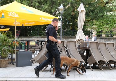 Image 471091641