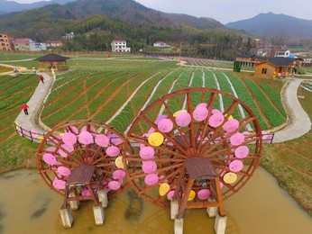 Image 471669813