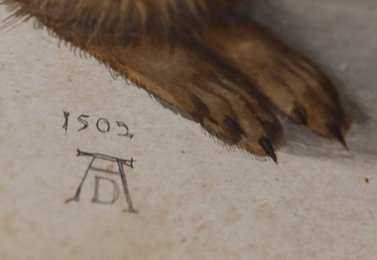 Image 471781244
