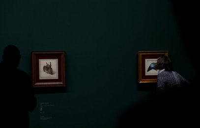 Image 471781313