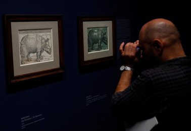 Image 471781913