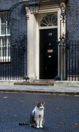 Image 473139644