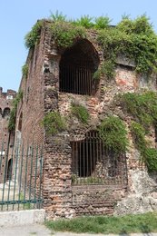 Image 474528303