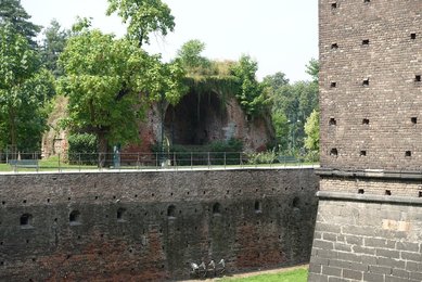 Image 474528312