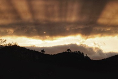 Image 475231942