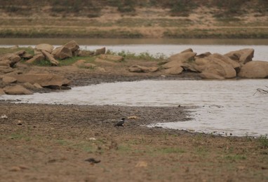 Image 476476047