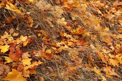Image 476478754