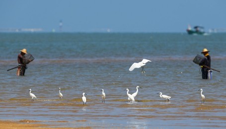 Image 476480821
