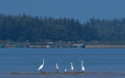 Image 476480838