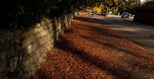 Image 476834752